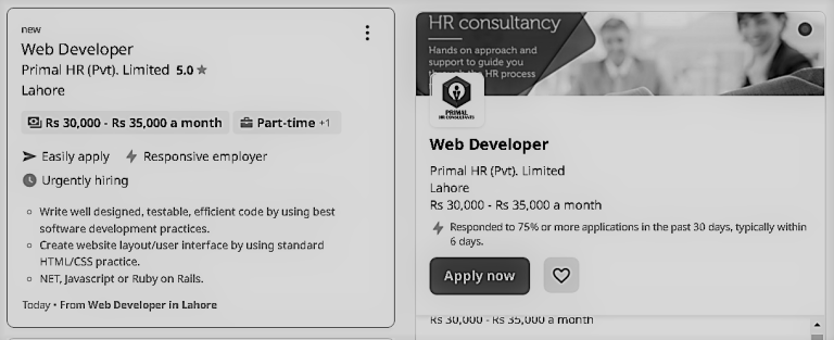 Web Developer Primal HR (Pvt). Limited