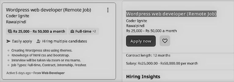 Wordpress web developer (Remote Job)