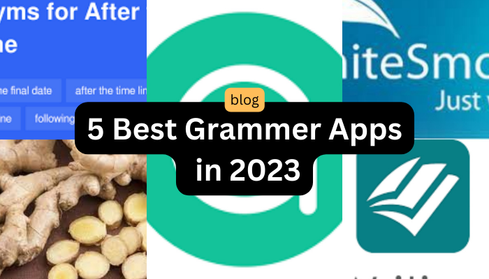 5 Best Grammer Apps in 2023